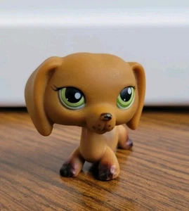 Littlest Pet Shop LPS Authentic Daschund Hund #139 grüne Augen 2005 - Bild 1 von 17