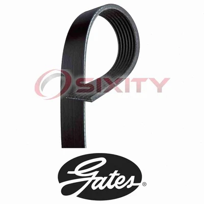 Cinturón Serpentine Micro-V para Nissan Pathfinder GATES 4,0 L V6 2005-2012 pieza Foto 1 de 4