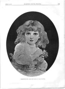 Forget Me Nots. Vintage 1887 Harper's 11" x 8" GRAVURDRUCK - Bild 1 von 2