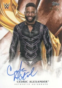 2019 Topps WWE Undisputed Autograph Cards Orange Parallel Pick from List - Picture 1 of 5