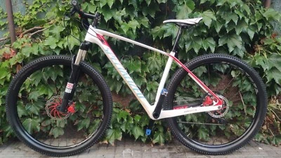 Specialized Stumpjumper Carbon Hardtail Mountainbike 12v - Bild 1 von 4