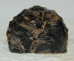 Bonita muestra de exhibición de corte vintage de tronco de madera petrificada negro lapidario 13+ oz. - Imagen 1 de 12