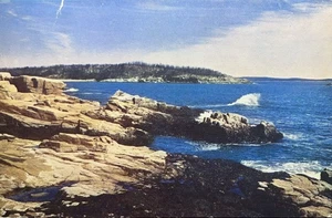 Postcard Approaching Thunder Hole Bar Harbor Maine ME Acadia National Park 1953 - Picture 1 of 2