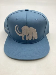 Rare Mammoth Microbes Blue Flat Bill Snapback Hat OTTO CANNABIS WEED MARIJUANA - Picture 1 of 7
