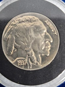 1937-P BUFFALO FIVE CENTS-VERY HIGH GRADE! -GEM BU-Shiny Luster!!! FULL HORN - Picture 1 of 6
