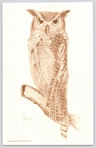 Owl Buena Vista Exotic Animal Park Strafford Missouri Vintage Jumbo Postcard 5x8 - Picture 1 of 2
