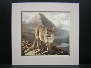Mini impresión artística enmarañada de león de montaña Charles Frace Cougar - Imagen 1 de 1