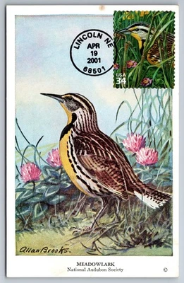 #3506f Great Plains Prairie Western Meadowlark FDC Maxi Card - Image 1 of 2
