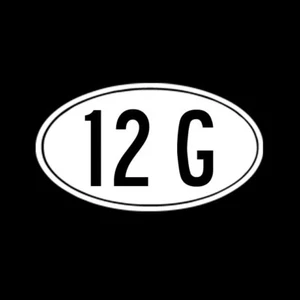 12 G Gauge AMMO OVAL 2nd Amendment Molon Labe Gun Rights Vinyl Decal - Bild 1 von 2