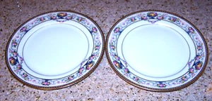 2 Rare Pristine Thomas Bavaria Briarcliff Salad Plates #1 - Picture 1 of 2