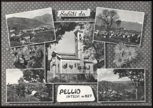 cartolina PELLIO INTELVI saluti da..vedute - Picture 1 of 1