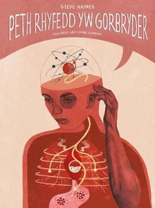 Darllen yn Well: Peth Rhyfedd yw Gorbryder by Steve Haines (Welsh) Paperback Boo - Picture 1 of 1