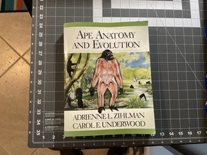 2019 Ape Anatomy And Evolution, Paperback, Zihlman / Underwood, Used Condition - Imagen 1 de 24