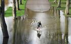 Photo 6x4 Cycling by/in the River Severn Shrewsbury The river is just on c2009