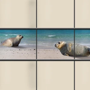Bedruckter Sichtschutz Streifen Küsten Motiv Zaunstreifen Zaun Blende - Sandbank - Bild 1 von 3