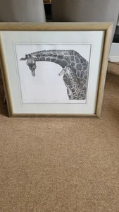 Gary Hodges Print Reticulated Giraffe and Young Signed & Limited Edition - Picture 1 of 13