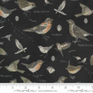Botanicals 16910-16 Moda Fabrics Birds In Nature Charcoal Janet Clare - Picture 1 of 2