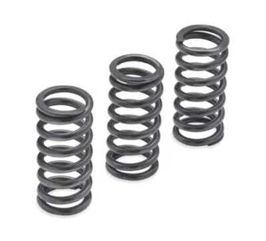 Harley-Davidson Milwaukee-Acht Motor Kupplungsfedern - 1275N 37000286 - Bild 1 von 1