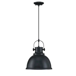 Forte Lighting Harmon 1 Light Pendant, Black - 7210-01-04 - Picture 1 of 1