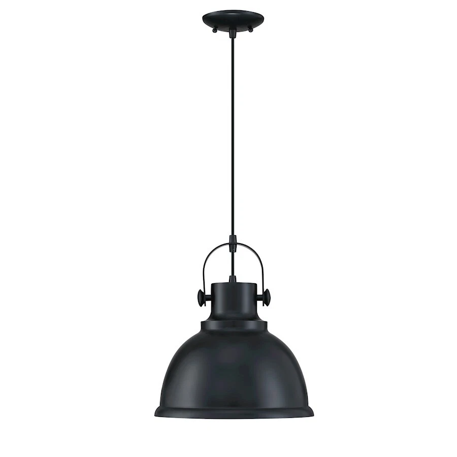Forte Lighting Harmon 1 Light Pendant, Black - 7210-01-04 - Image 1 of 1