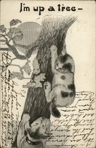 I'm Up a Tree - Postal vintage con gatos y perros, Michigan - Imagen 1 de 2