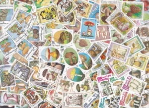 Y1002 - Collection 100 diff. stamps - Paddestoelen / Pilze / Mushrooms - Imagen 1 de 1