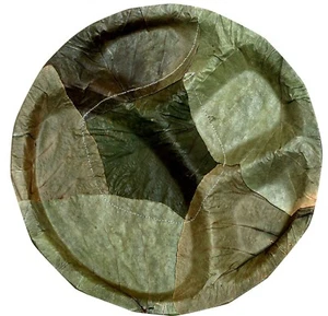 Palash Blattplatten - 25er Pack, natürlich grün - Bild 1 von 3