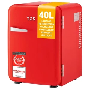 Retro Mini Kühlschrank Kühlbox Minikühlschrank Auto 40 L TZS *B-Ware* - Bild 1 von 6