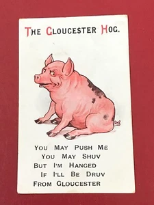 EARLY 1900s COMIC HUMOUR PC - THE GLOUCESTER HOG - Picture 1 of 1