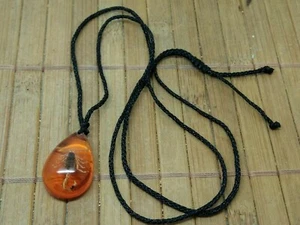 Pendentif en résine de qualité avec VRAI scorpion - taxidermie insecte collier - Picture 1 of 5
