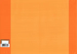 10 Stück Heftumschläge DIN A5 orange klar Heftumschlag Heftschoner Schulheft - Picture 1 of 1