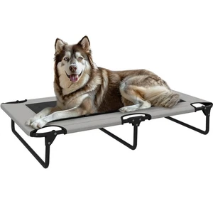 PawHut Raised Dog Bed with Breathable Mesh for Large Dogs, Light Grey - Picture 1 of 11