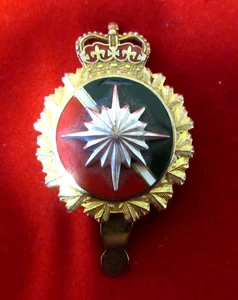 Canadian Forces INTELLIGENCE Branch Cap Badge - Picture 1 of 2