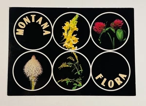 Vintage Postcard Montana Flora Billings Montana Unposted - Picture 1 of 2