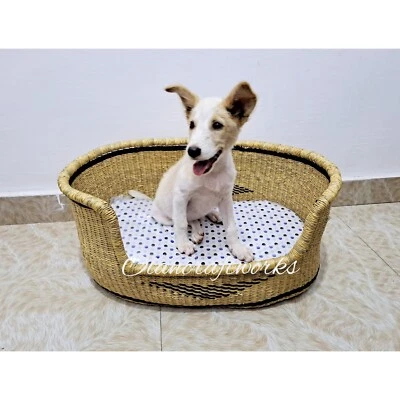 Cesta de cachorro Bolga moderna cama de cachorro presente memorial feito à mão cama de cachorro cesta África - Imagem 1 de 3