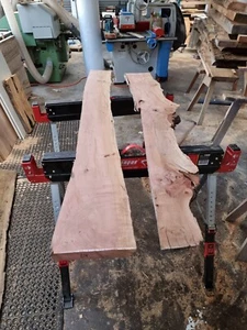Tasmanian myrtle Craft Wood Woodworking Live edge Table Timber - Picture 1 of 9
