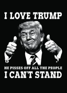 Camiseta Adulto DryBlend® - I LOVE TRUMP HE PISSES OFF EVERYONE - SEGUNDA ENMIENDA - Imagen 1 de 51