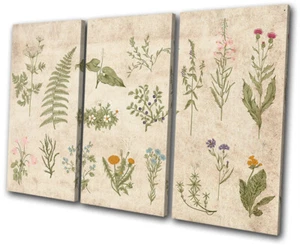 Botanical Vintage Flowers Fern Floral TREBLE CANVAS WALL ART Picture Print - Picture 1 of 1