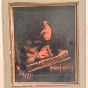 Hüteraffen - Bild 1 von 5