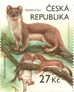 Czech Republic 2024 ** Animals in our nature with their young - Picture 1 of 1