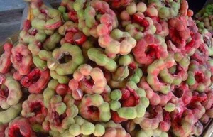 Pithecellobium Dulce Baum 15 Samen, Manila Tamarinde, Madras Dorn oder Kamille - Bild 1 von 4