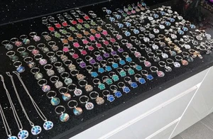 joblot 160 premium keyrings, charms, necklaces. Dog , cat .Great gifts - Picture 1 of 21