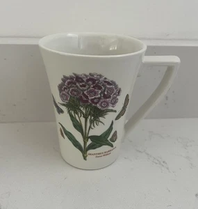 1 Portmeirion Botanischer Garten Kaffee Tee Tasse Dianthus Sweet William Schmetterling Becher - Bild 1 von 5