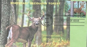 Romp Cachets 3899 NE Deciduous Forrest White-Tailed Deer - Bild 1 von 1