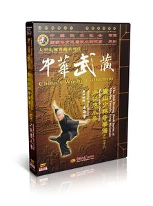 ( Out of print ) Songshan Shaolin eagle claw boxing by Wang Haiying DVD - No.028 - Imagen 1 de 1