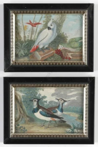 Angelo Maria Crivelli (geb. 1730)-Anhänger, zwei feine Miniaturen mit Vögel, 18. Jh. - Bild 1 von 11