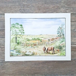 Pintura Original Dartmoor Firmada Acuarela Paisaje De Colección Devon 1993 - Imagen 1 de 8