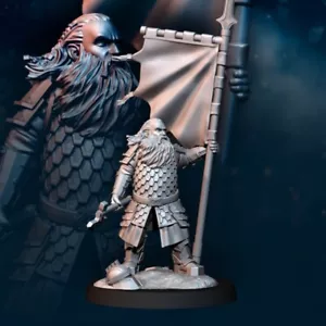 Iron Dwarf Banner - Bild 1 von 2