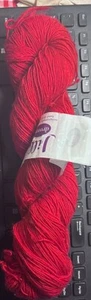 Dream in Color - Jilly Dream - Hand Dyed Yarn Single ply - Picture 1 of 2