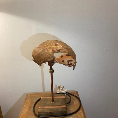 Handmade seashell copper table lamp shade, from beaches of sri Lanka - Image 1 of 2